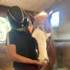 colleenhorseaccxoxo2