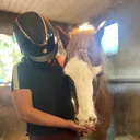 @colleenhorseaccxoxo2