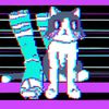 catw1thsocks