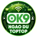 @ngaodutoptop