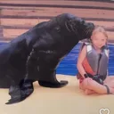 @graceggw
