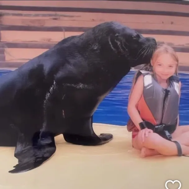 @graceggw