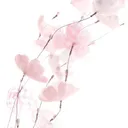 @wh0_is.malii