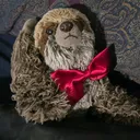 @sidthesaucysloth