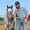 ws_horses