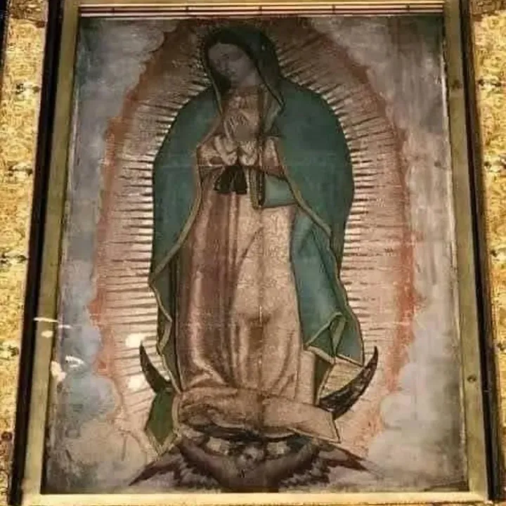 @rodolfotorres7401