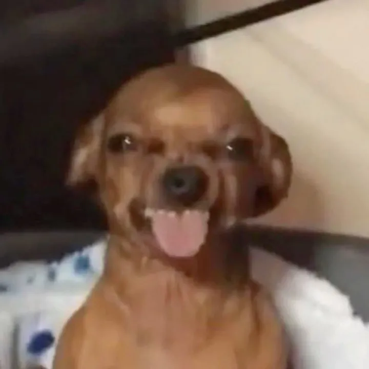 abbyypaann