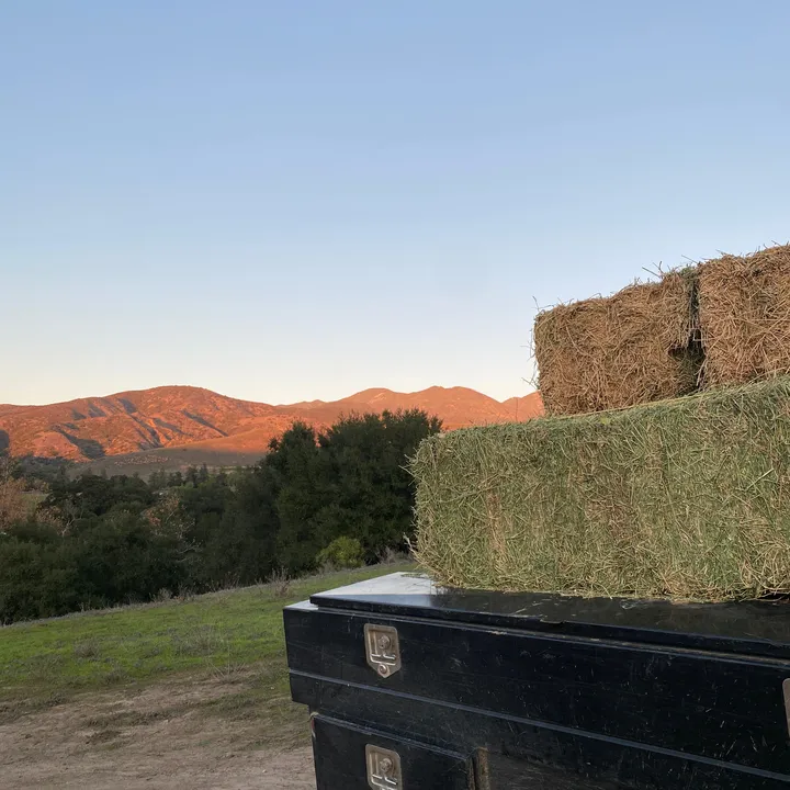 myranchdiary