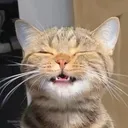 @usasmilehout