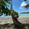roxanamariafarcas