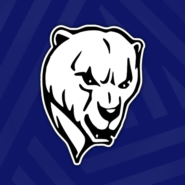 @hammer_eisbaeren