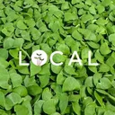 @localgrown.tn
