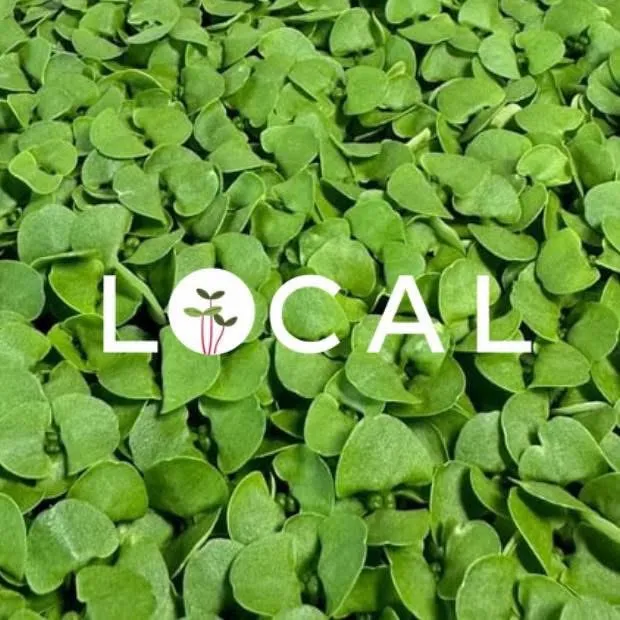localgrown.tn