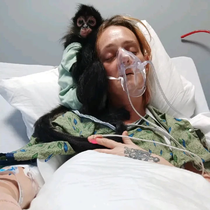 @ourcrazymonkeylife