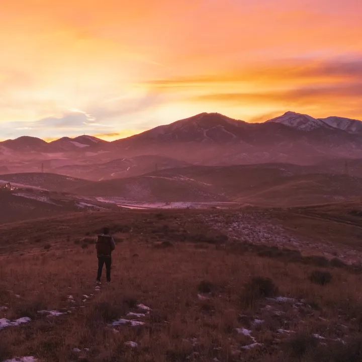 yourdailynaturefix