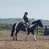 sophie_priv738