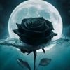 karecy_astar
