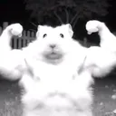@testo_hamster