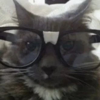 @bunnyyycat