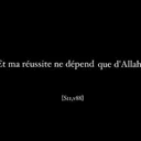 @212_msl