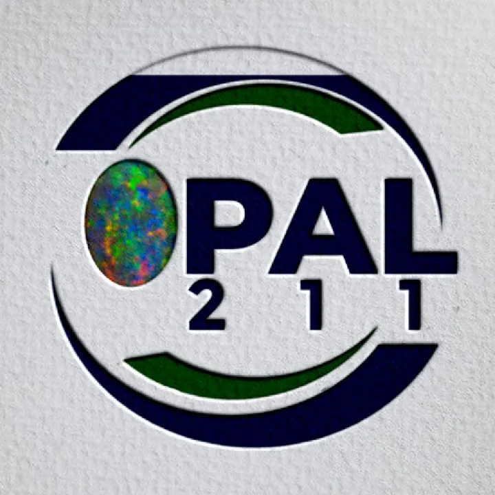 opal211boutique