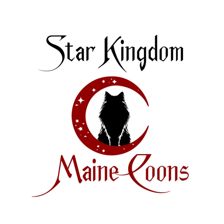 @starkingdommc