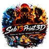 seb13print3d