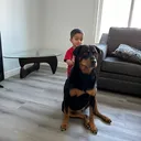 @manjitsidhu335