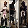 perseverance_kennel_