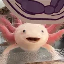 @axolotl_keeper47