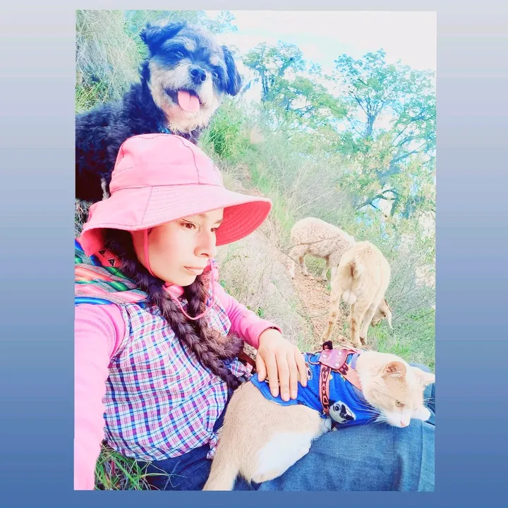 rebecaysusocurrencias