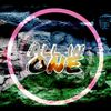 all_inone__