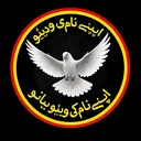 @mshahroz66