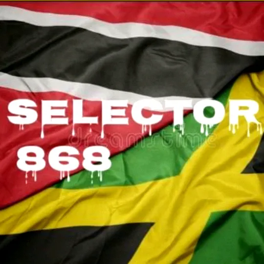 theselector868