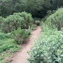 @phoenixinc1