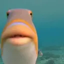 @kelseymcqueef