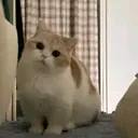 @yjekfj40