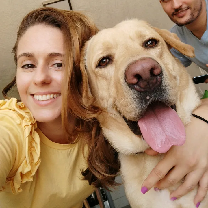 lancipoo