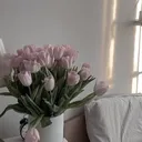 @user1234567820254