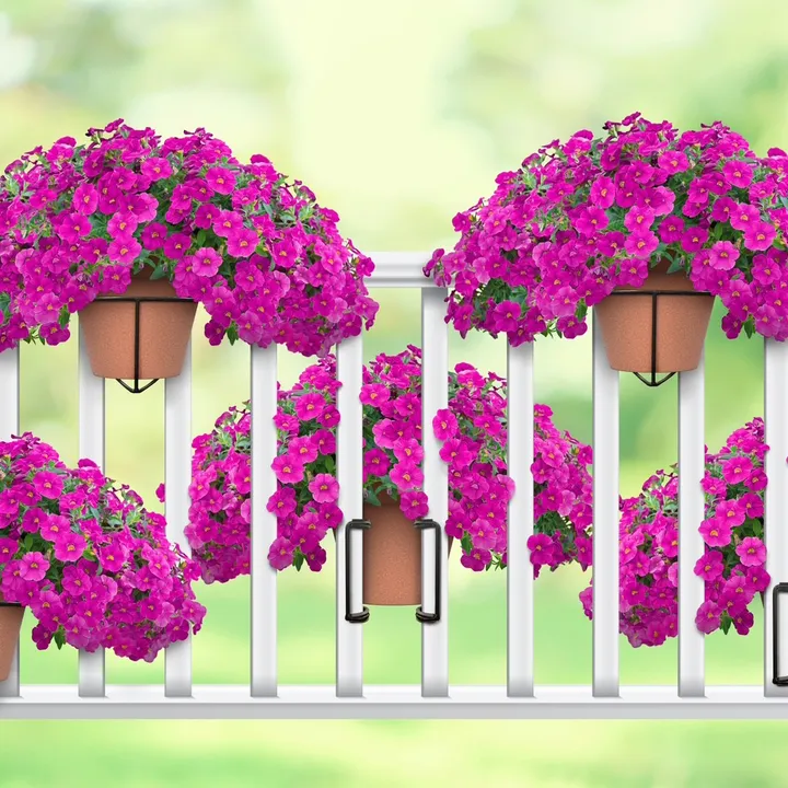 planttraps