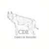 canesdeensueno