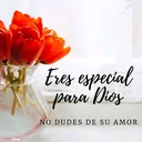 @perdonyvida