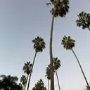 @usersusling