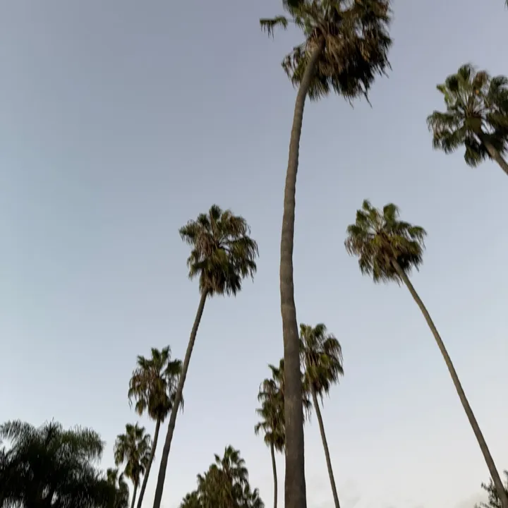 usersusling