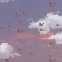 @justacozylittlecorner