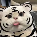 @movie66jj