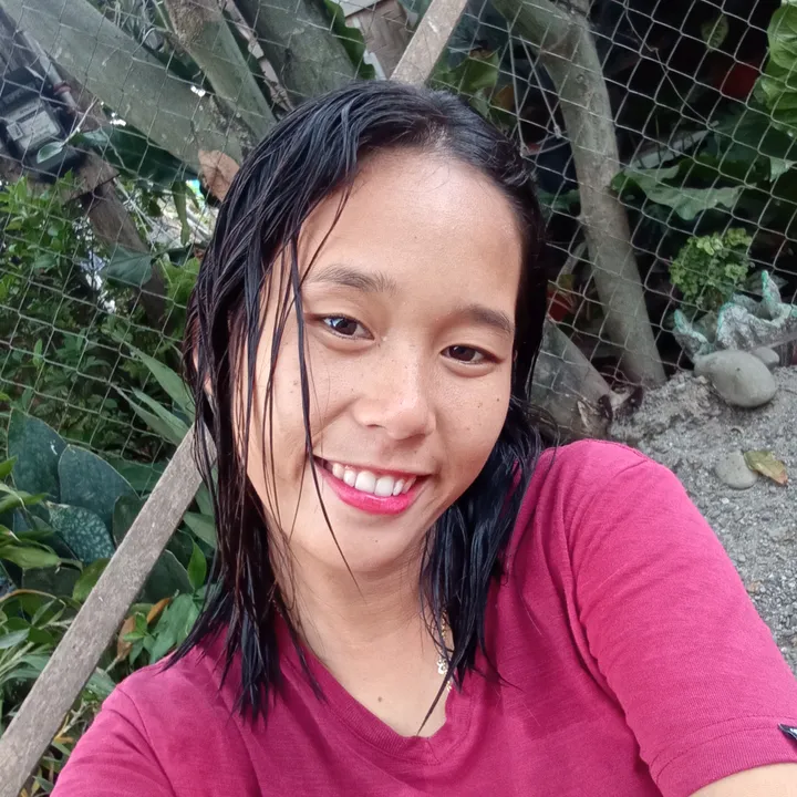 @pikot0420