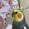 emery.the.branch.manager