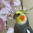 @emery.the.branch.manager