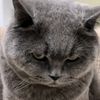 user79413039